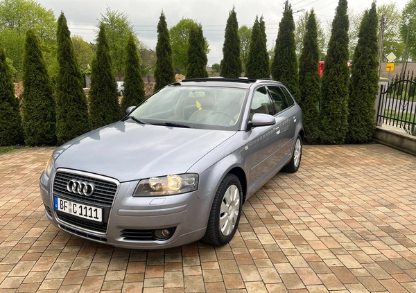 Audi A3 cena 19800 przebieg: 192000, rok produkcji 2007 z Zgierz małe 137